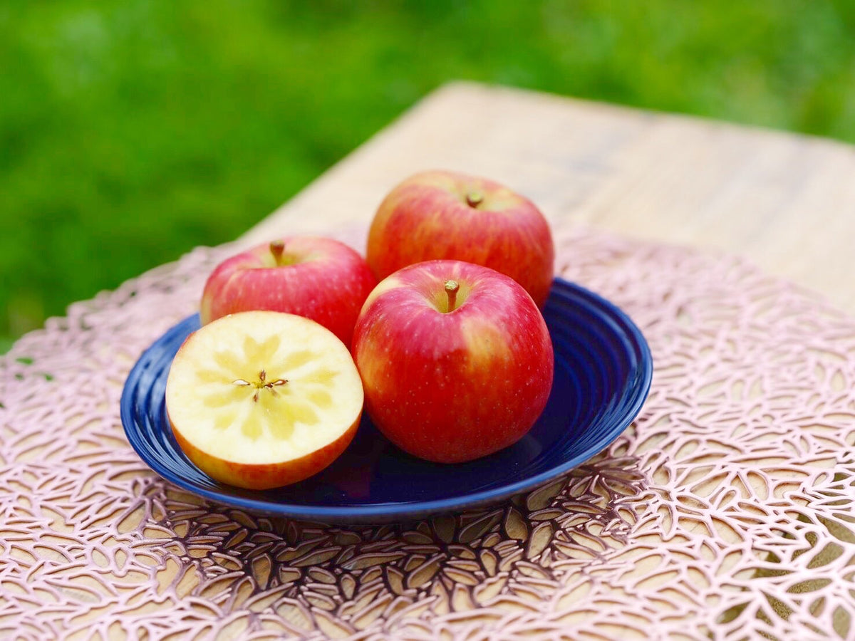 ソフビ monstock ソウザンコウ みかん 石森連 ブルマァク 安楽安作